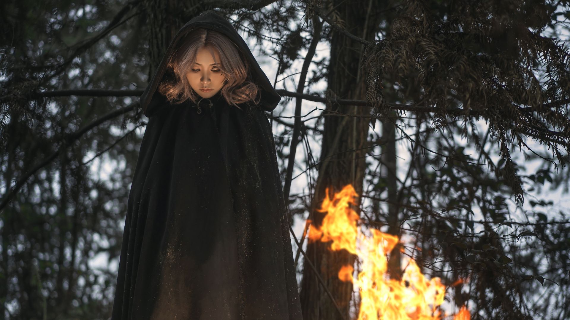 《艾尔登法环》